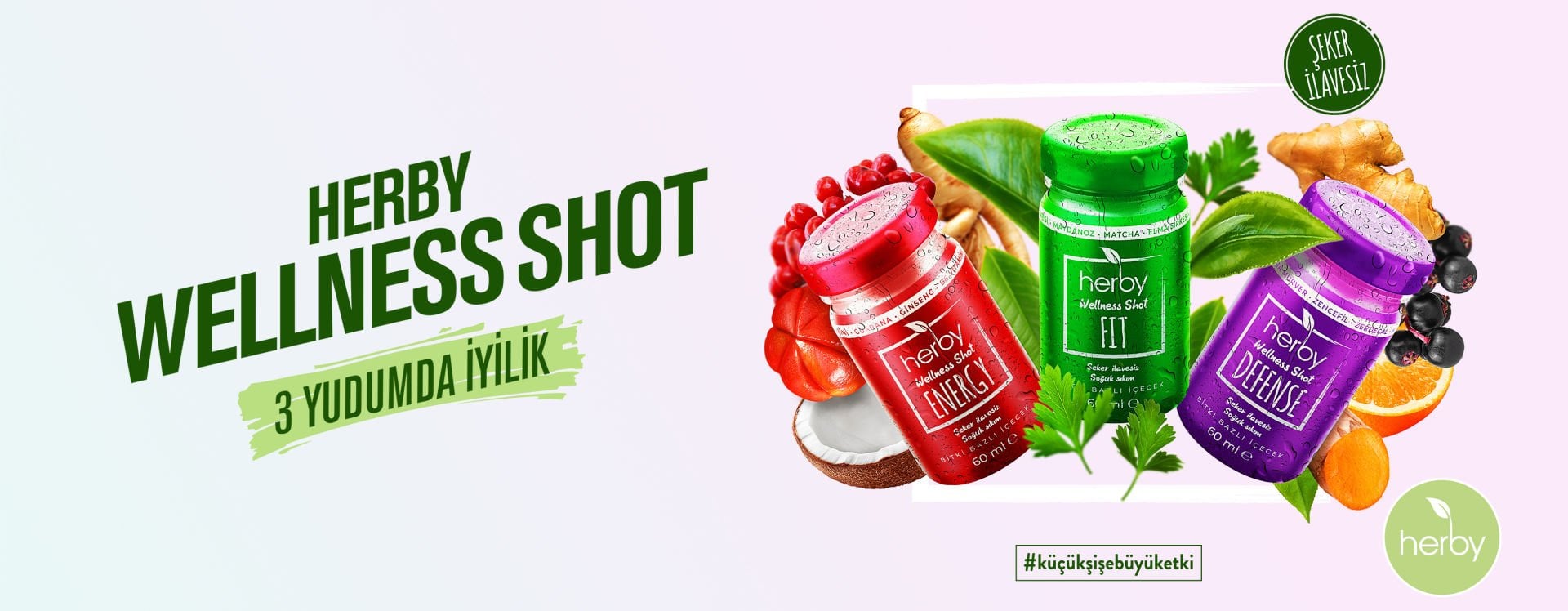SHOTLAR