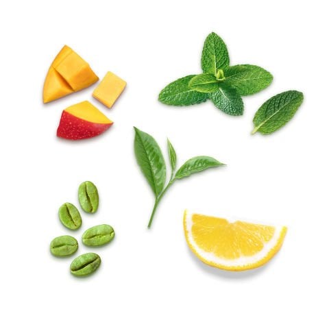 Haftalık Fit Program - Yeşil Kahve Çekirdekli Fit Çay