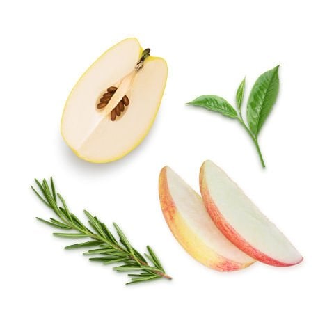 Herby Ayvalı Fit Çay