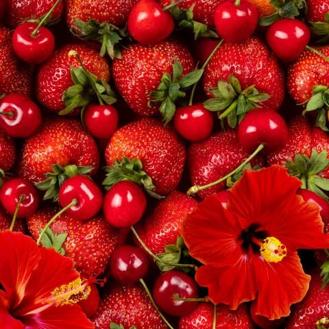 Herby Ice Tea Berry Hibiscus 12'li