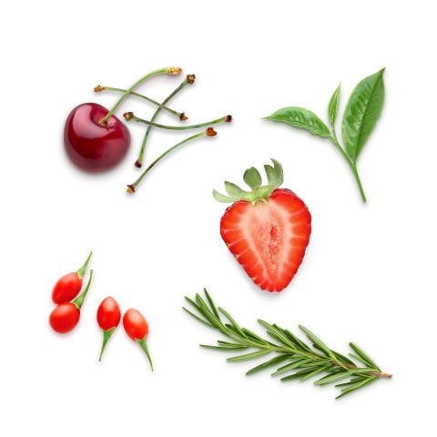 Herby 7 Gün Yaza Hazırlık - Kiraz Saplı Fit Çay