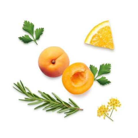 Herby 7 Gün Fit Program - Kayısı ve Maydanozlu Fit Çay