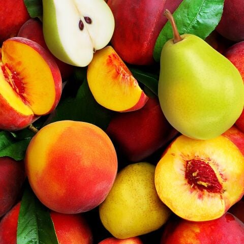 Herby Ice Tea Armut Şeftali 24'lü