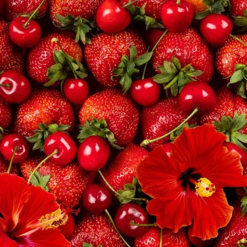 Ice Tea Berry Hibiscus 250 ml 12'li