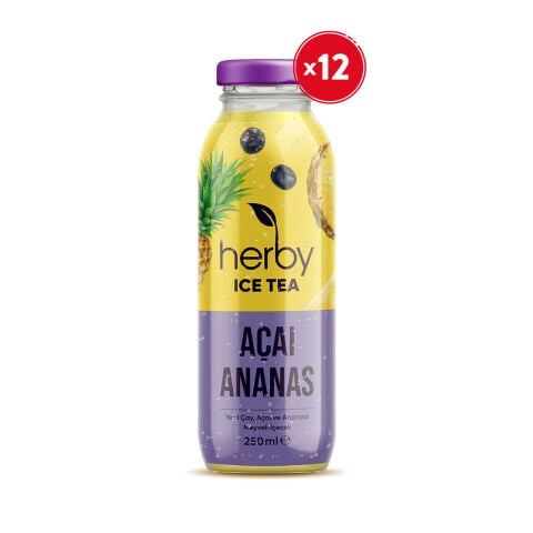 Ice Tea Açai Ananas 250 ml 12'li